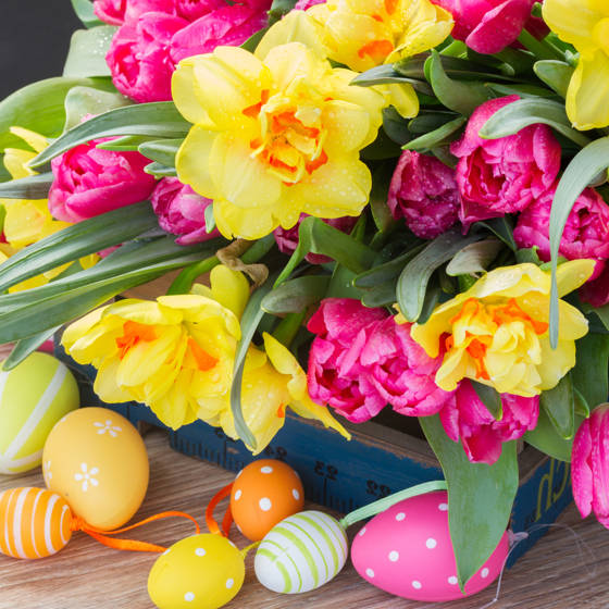 Buket med gule påskeliljer, lyserøde tulipaner og malede påskeæg.
