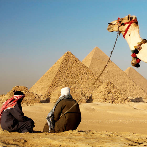 To beduiner sidder i sandet ved siden af en kamel og nyder udsigten til pyramiderne ved Giza i Egypten.
