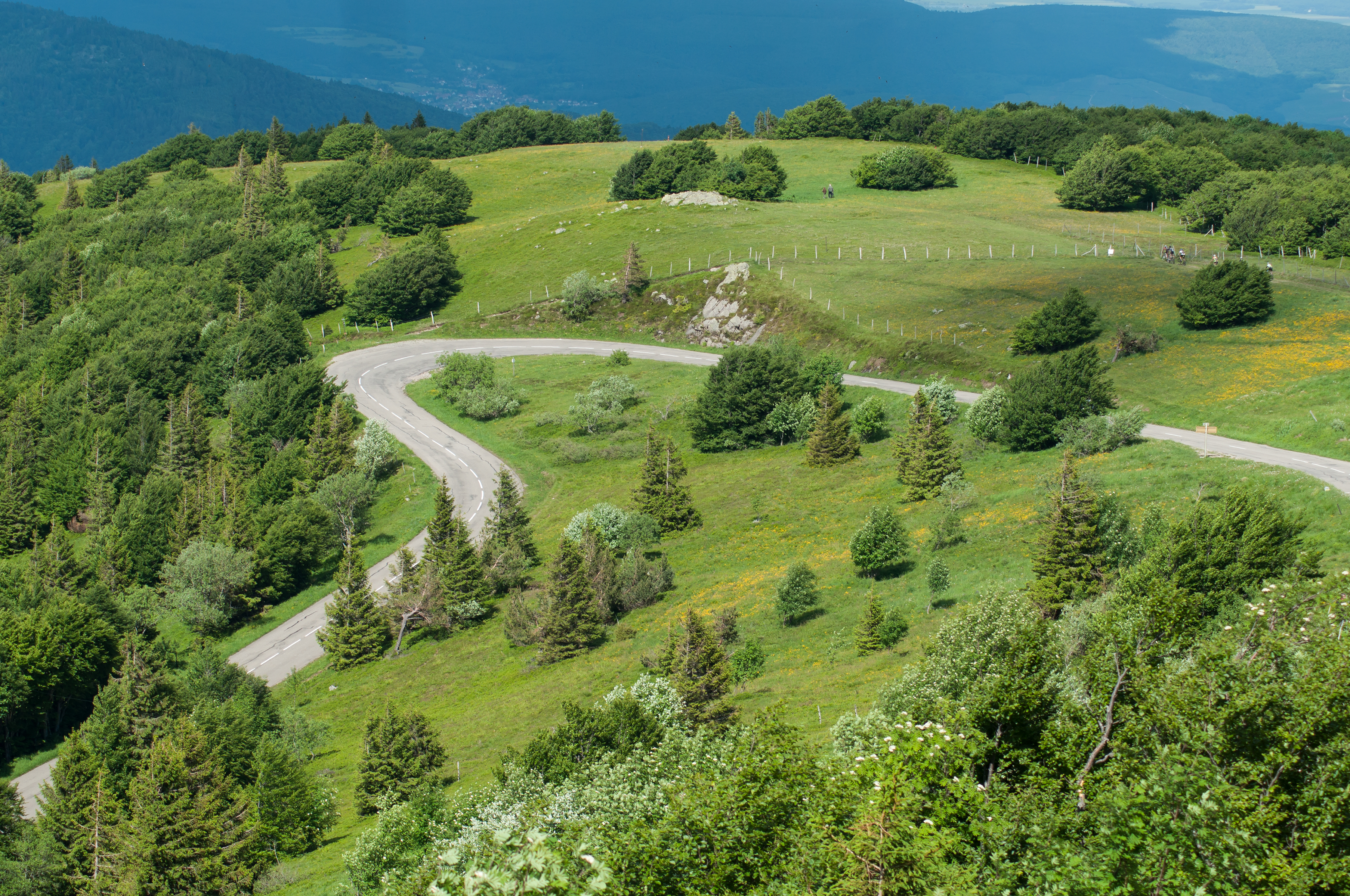 Alsace Vogeserne Grand Ballon Vej.