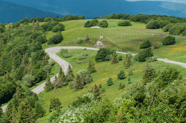 Alsace Vogeserne Grand Ballon Vej.
