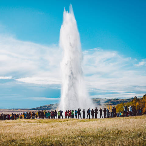 Geysir i udbrud på Island.