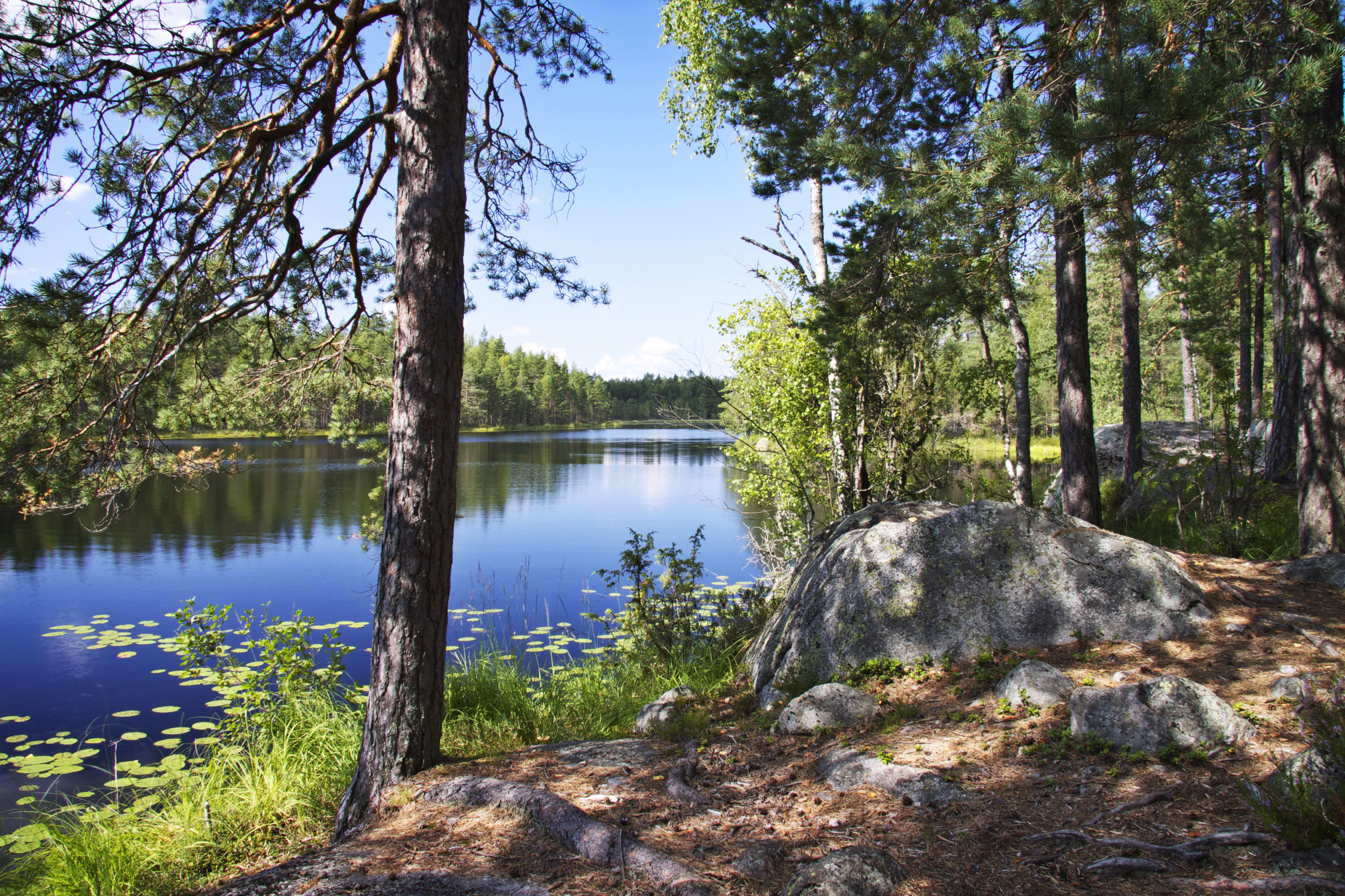 Stille idyl om sommeren ved bredden af en af Finlands mange søer. 