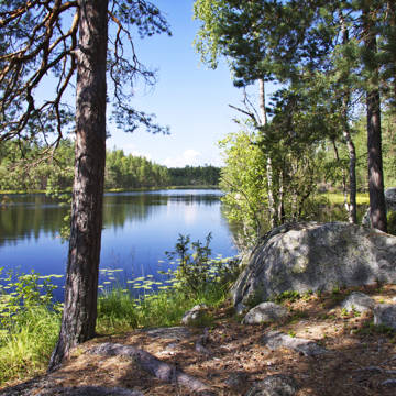 Stille idyl om sommeren ved bredden af en af Finlands mange søer.