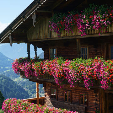 Klassisk alpehytte med blomsterkasser i Tyrol i Østrig.