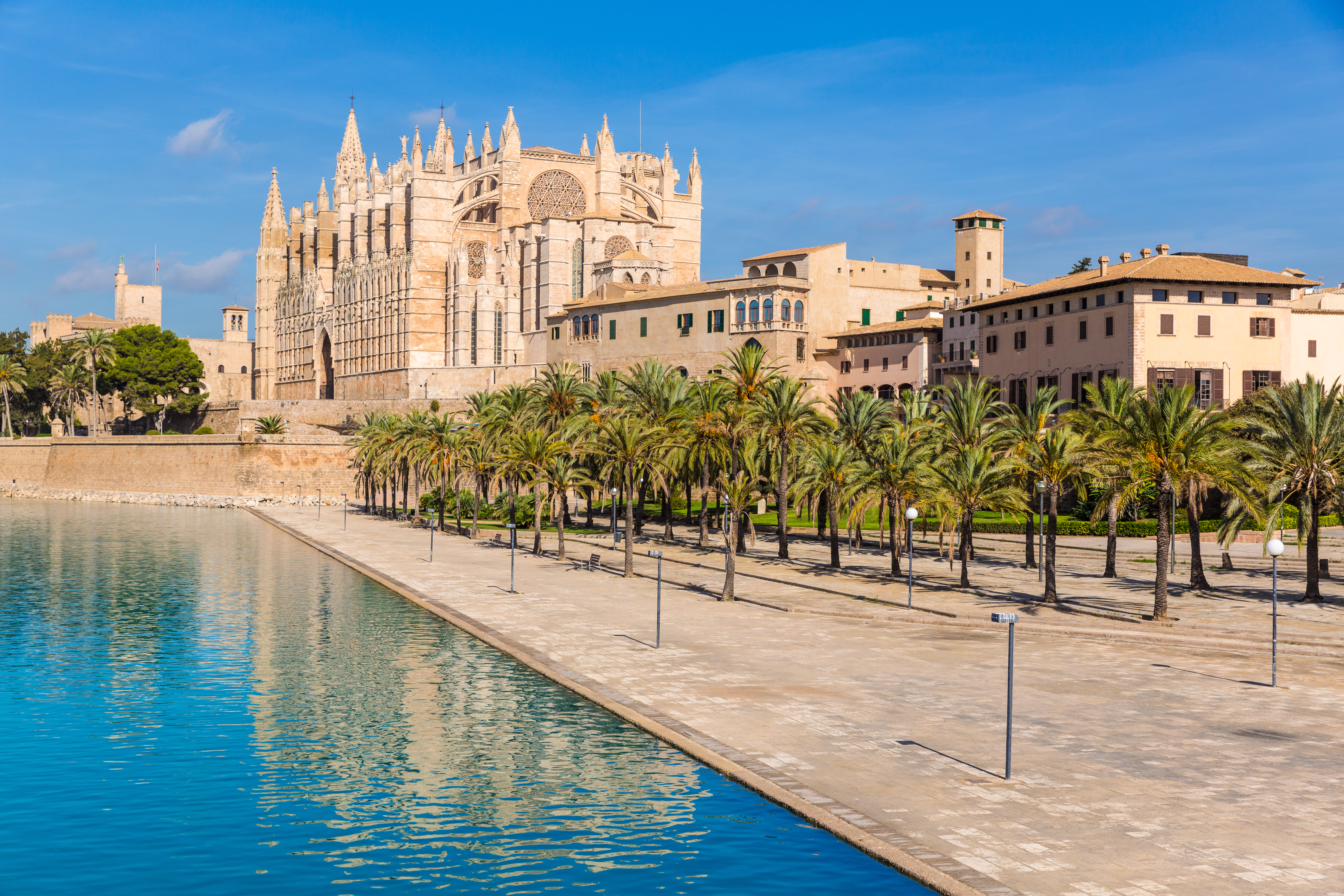 Mallorca Palma Katedral La seu.