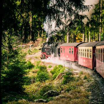 Damptoget Brocken-banen på vej gennem en skov i Harzen i Tyskland.