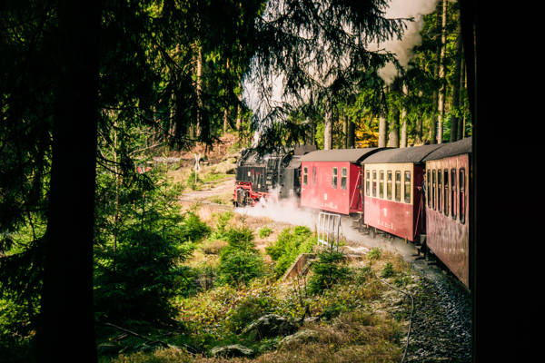 Damptoget Brocken-banen på vej gennem en skov i Harzen i Tyskland.