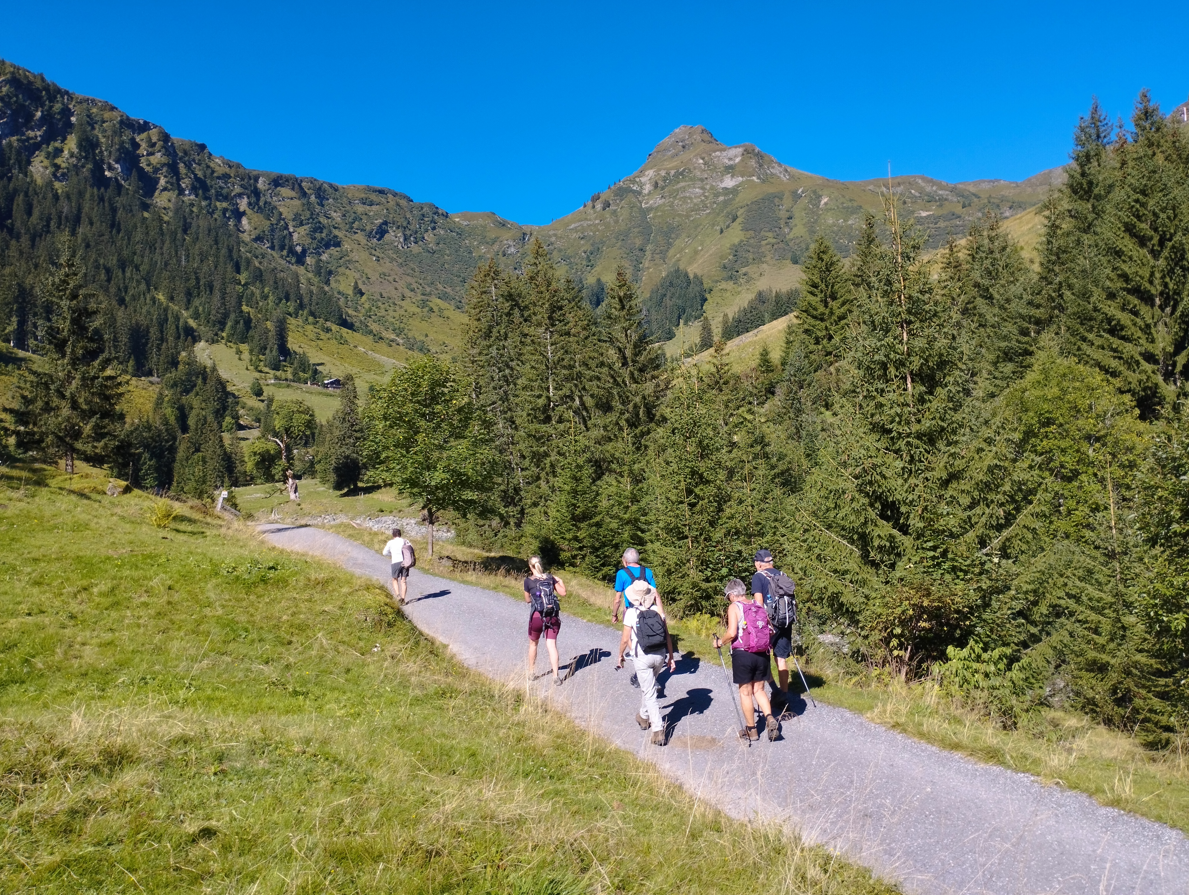 Gruppe på fem mennesker vandrer på en sti i de østrigske Alper ved Saalbach Talschluss.