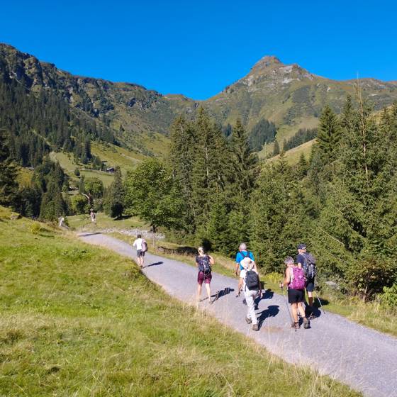 Gruppe på fem mennesker vandrer på en sti i de østrigske Alper ved Saalbach Talschluss.