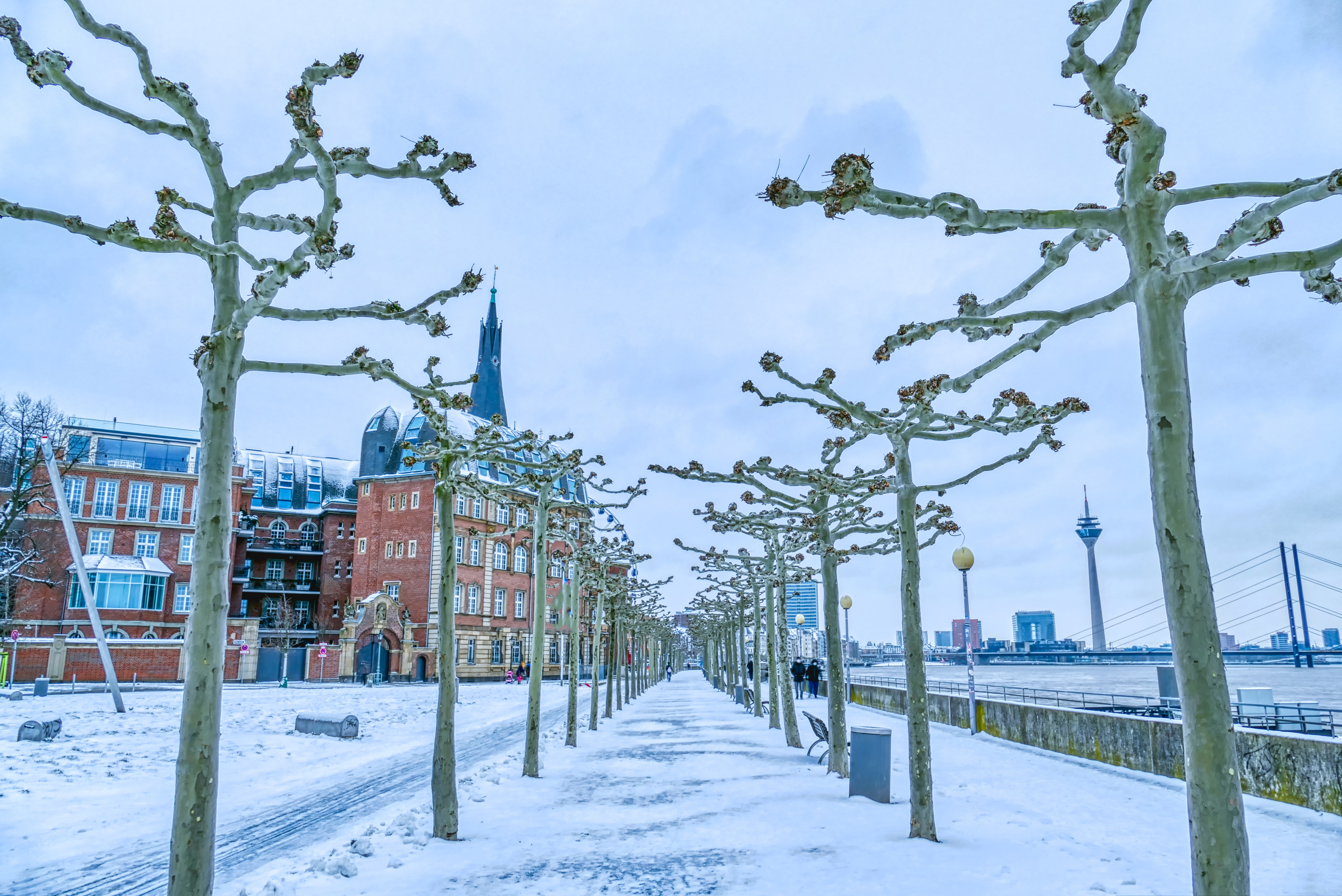 Promenaden i vinterklæder ved Rhinen i Düsseldorf i Tyskland.