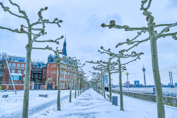 Promenaden i vinterklæder ved Rhinen i Düsseldorf i Tyskland.
