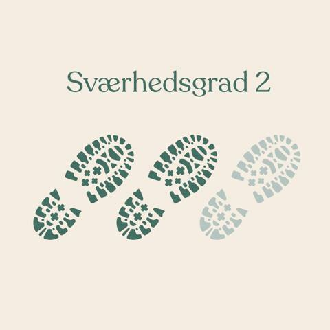 Grafik med to vandrestøvler, der indikerer Sværhedsgrad 2 på en vandreferie med Vitus Rejser.