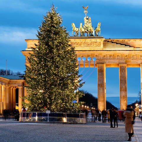 Stort juletræ med lysene tændt foran Brandenburger Tor i Berlin.