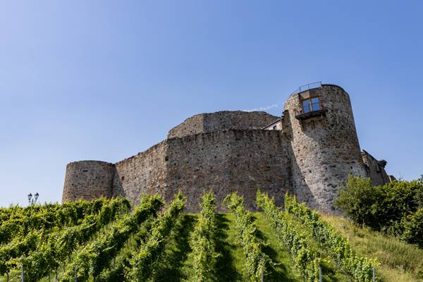 Burg Taggenbrunn i Østrig.