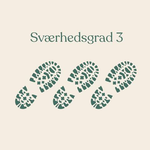Grafik med tre vandrestøvler, der indikerer Sværhedsgrad 3 på en vandreferie med Vitus Rejser.