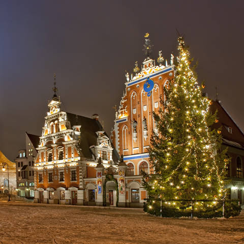 Tændt juletræ på torvet i den gamle bydel i Riga i Letland.