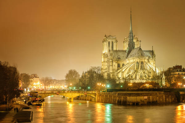 Frankrig Paris Notre Dame Vinter.