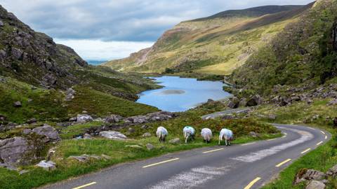 Irland Killarney National Park Mountains Of Kerry.