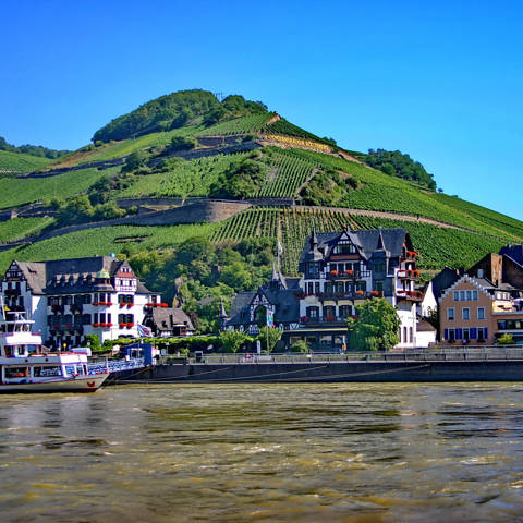 Den smukke by Assmannshausen ved Rhinen i Tyskland.