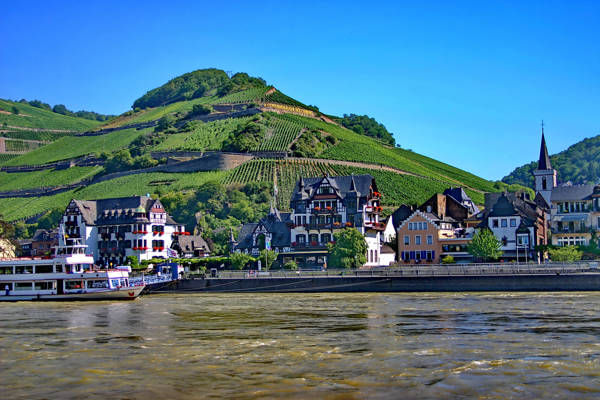 Den smukke by Assmannshausen ved Rhinen i Tyskland.
