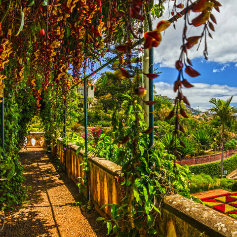 Den botaniske have i Funchal, hovedbyen på Madeira.
