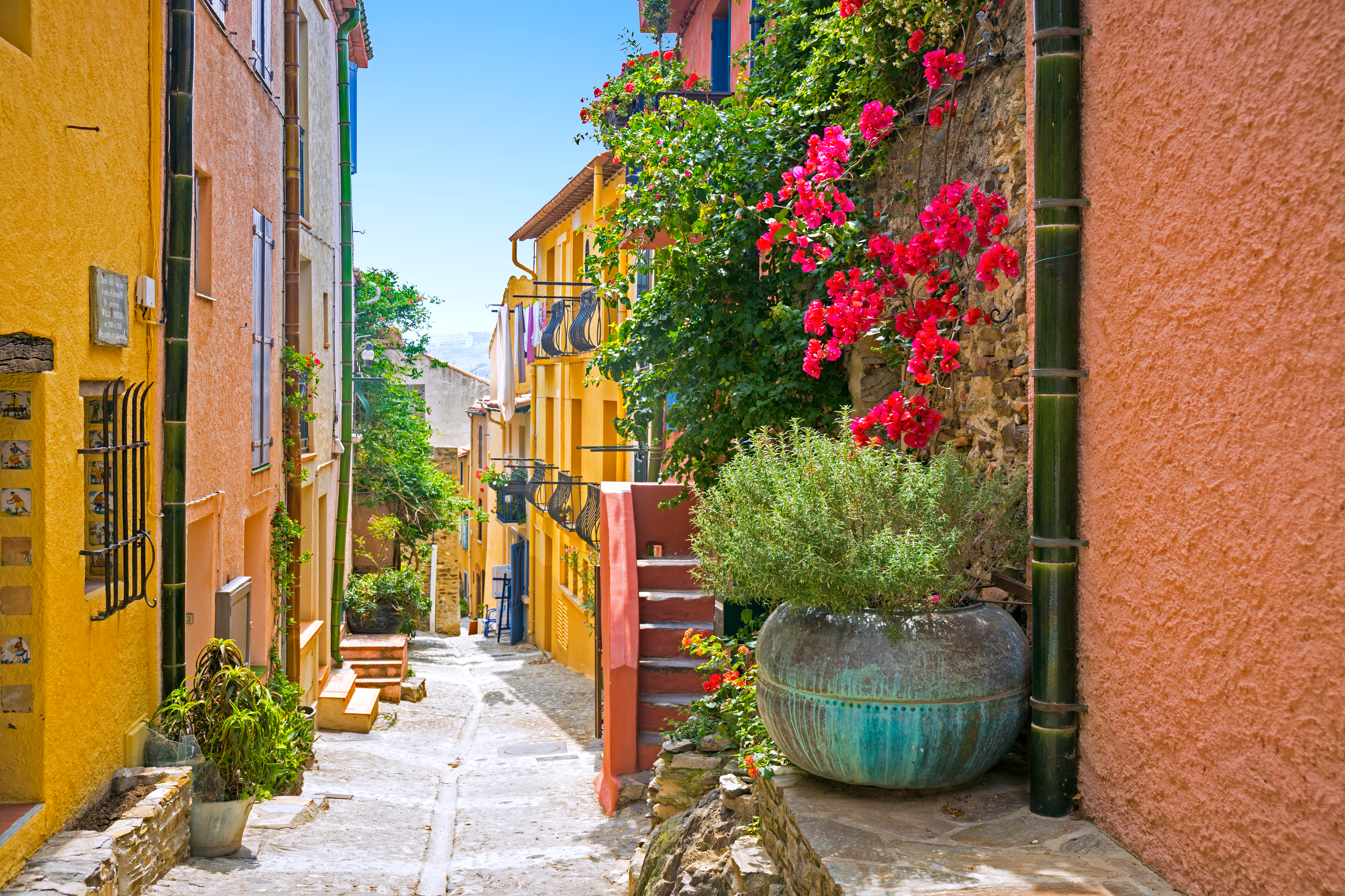 Lille gade med farvestrålende huse og blomsterkrukker i Collioure i Roussillon i Frankrig