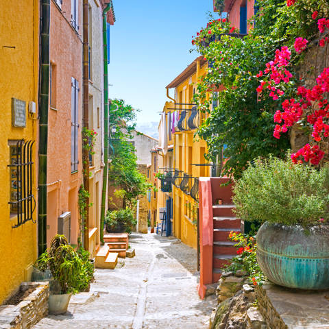 Lille gade med farvestrålende huse og blomsterkrukker i Collioure i Roussillon i Frankrig
