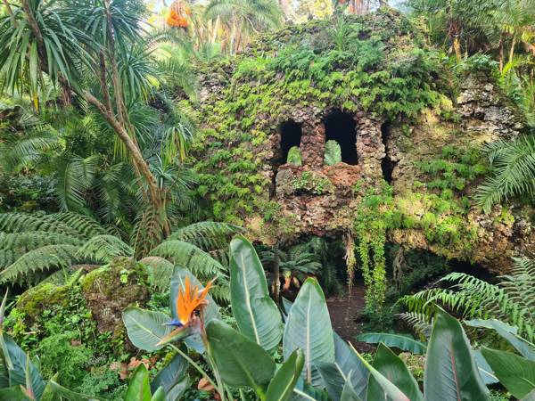 Den botaniske have Jardim António Borges i Ponta Delgada på Azorerne.