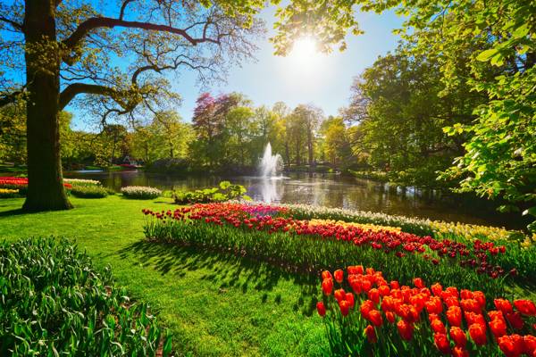 Smukke blomsterbed ned til bredden af en lille sø i blomsterparken Keukenhof i Holland.