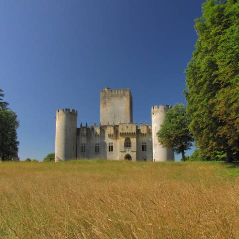 Chateau de Roquetaillade ved Bordeaux i Frankrig.