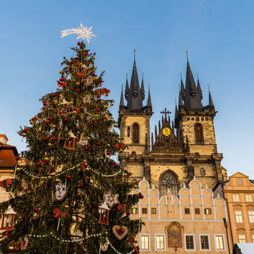 Stort juletræ foran Tyn-kirken i Prag i Tjekkiet.