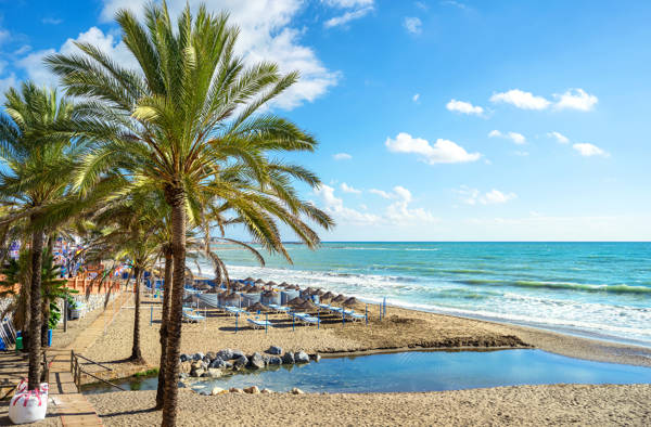 Palmer og solstole på stranden ved Benalmadena på Costa del Sol i Spanien.