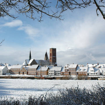 Hvidt vinterlandskab omkring Ribe med domkirken.