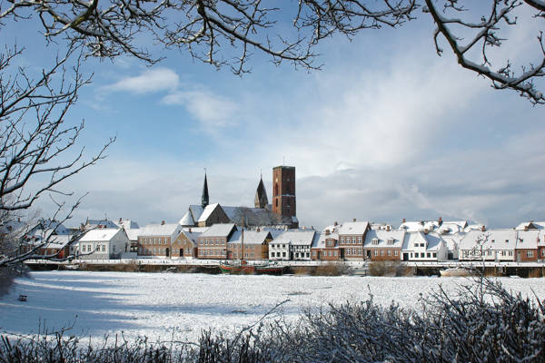 Hvidt vinterlandskab omkring Ribe med domkirken.