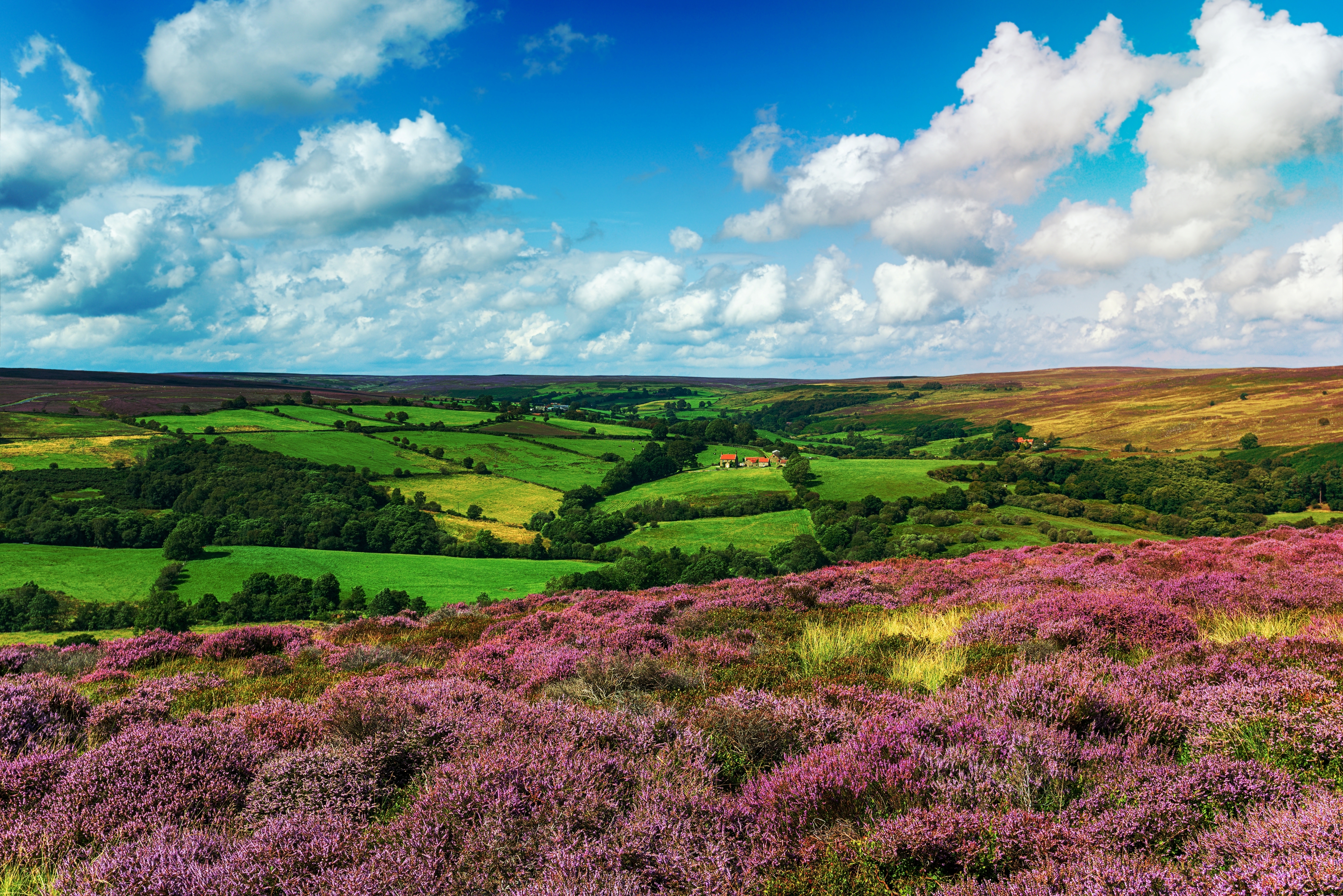 Det store hedelandskab North Yorkshire Moors i England.