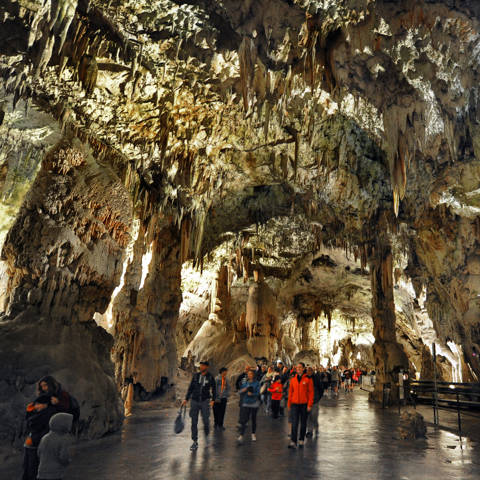 Slovenien Postonja Grotterne.