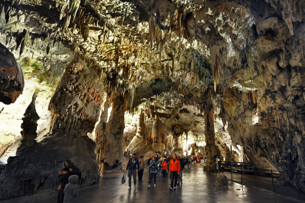 Slovenien Postonja Grotterne.