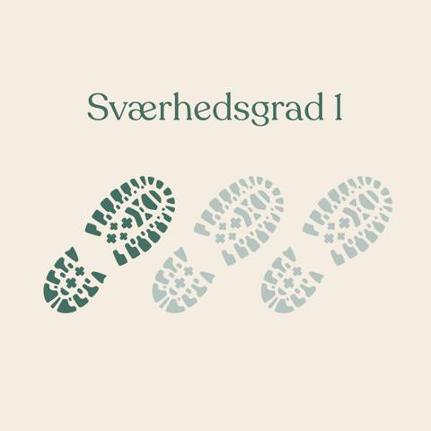 Grafik med en vandrestøvle, der indikerer Sværhedsgrad 1 på en vandreferie med Vitus Rejser.