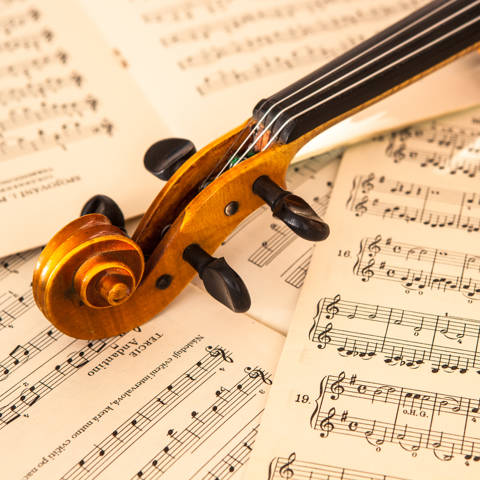 Oestrig Wien Noder Violin.