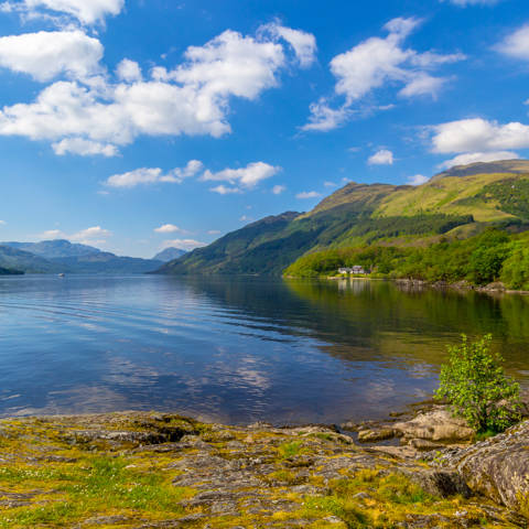Loch Lomond i Skotland set fra bredden om sommeren.