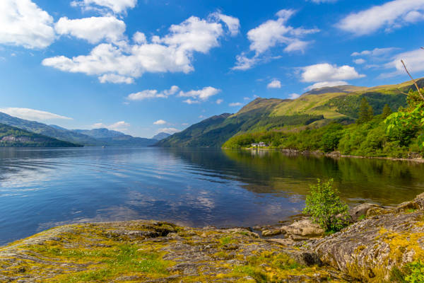 Loch Lomond i Skotland set fra bredden om sommeren.