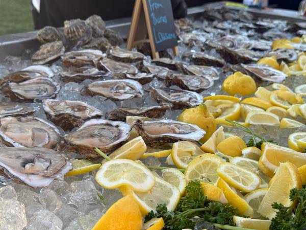 Østers i Normandiet.