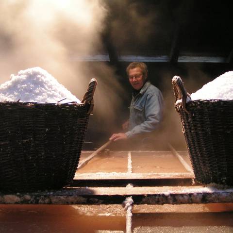 Laesoe Salt.