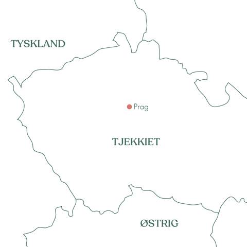 Rejs med Vitus Rejser til Prag i Tjekkiet.
