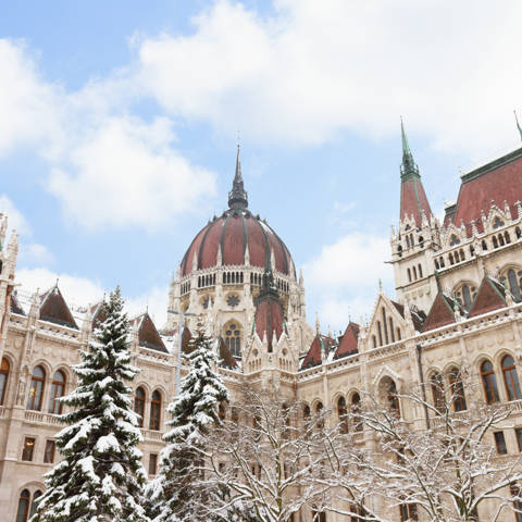 Parlamentet i Budapest i sneklæder.
