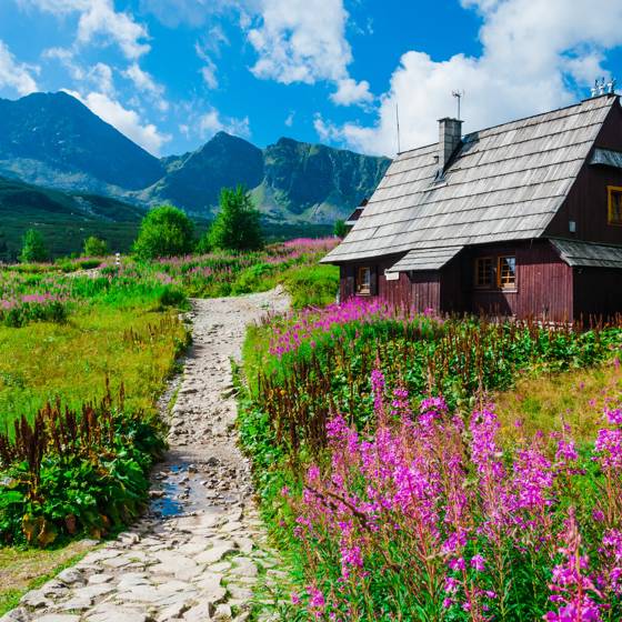 Smukt landskab for foden af Tatrabjergene i det sydligste Polen.