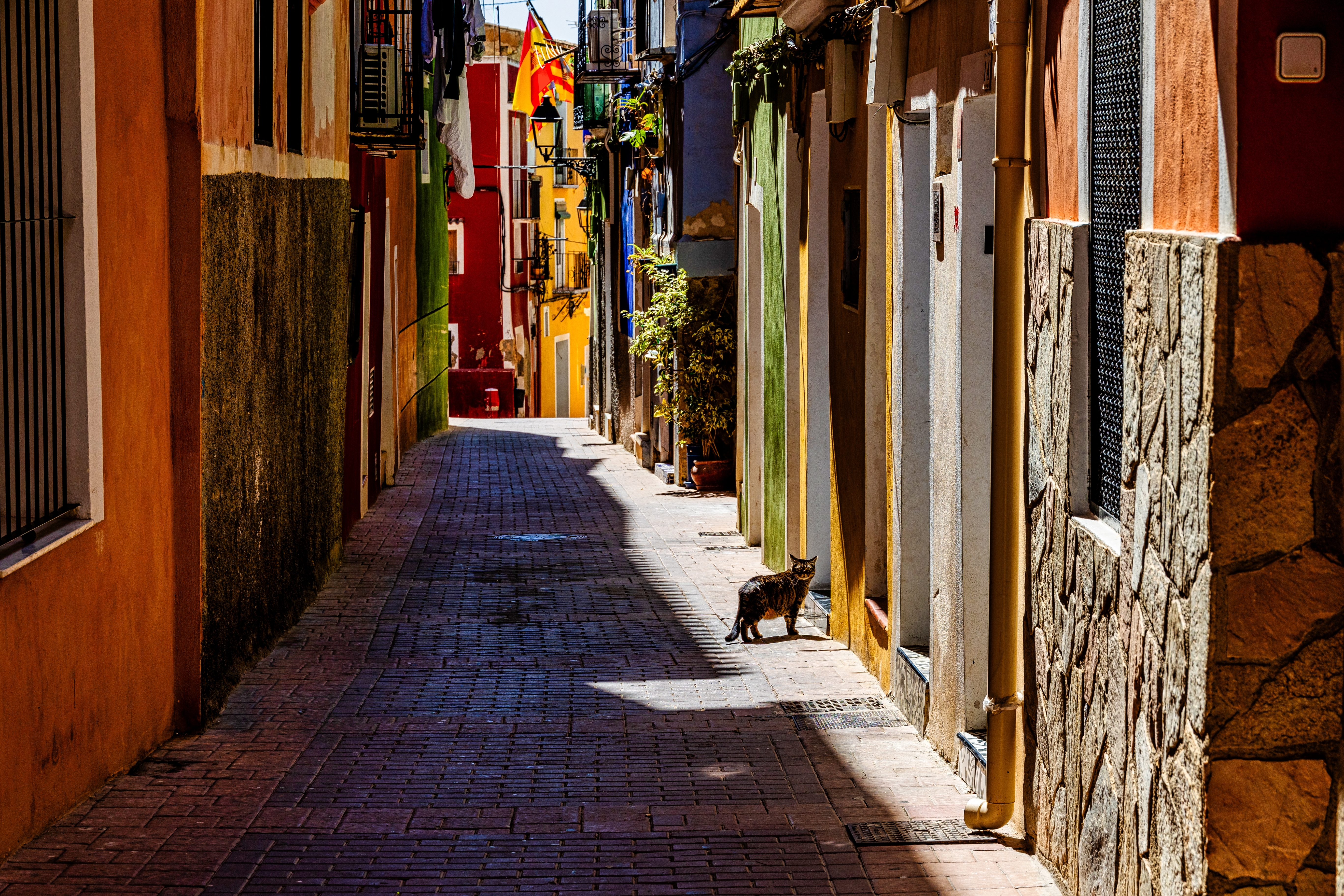 En af de charmerende smalle gade i Villajoyosa i Alicante i Spanien.