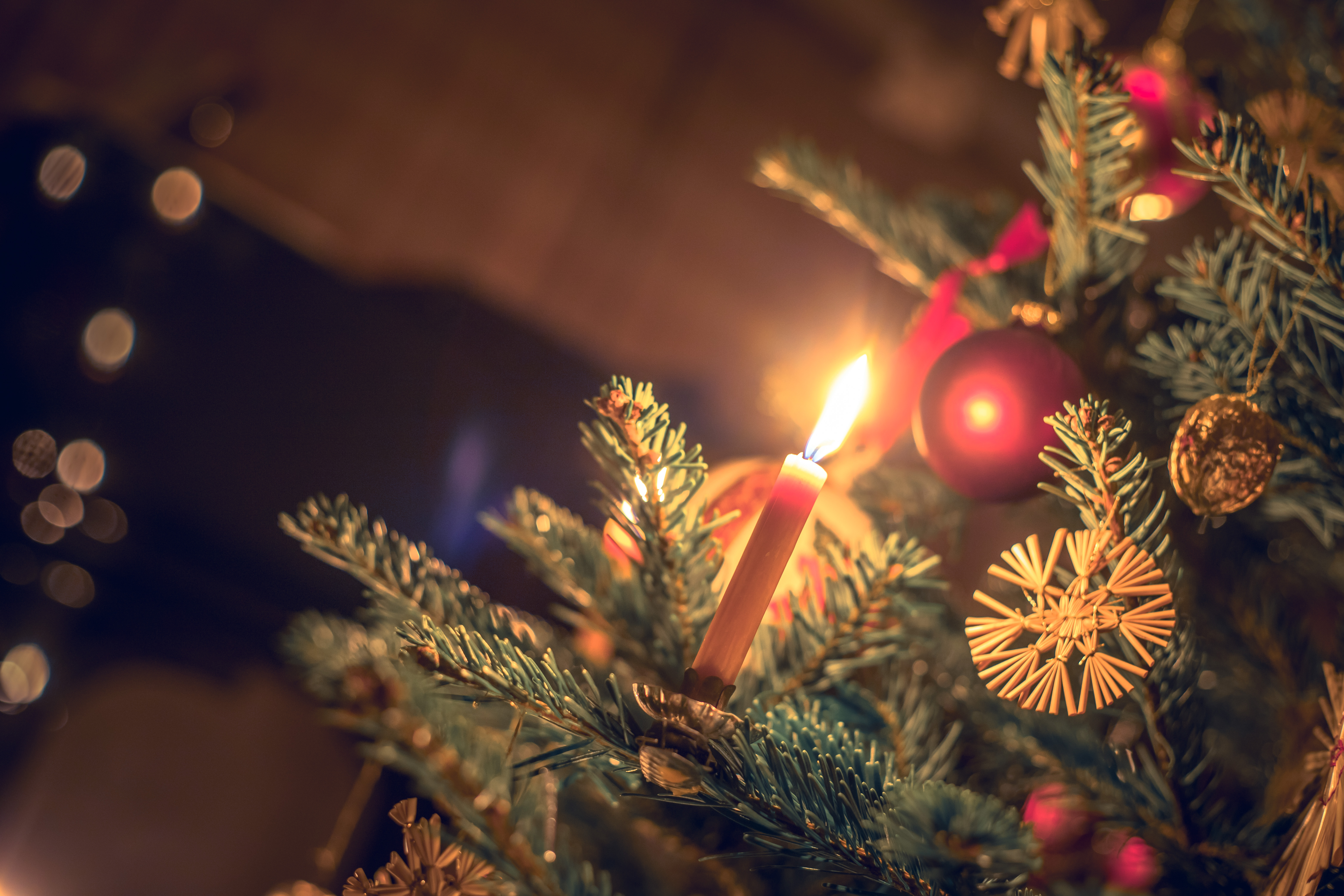 Tændt julelys på en grangren.