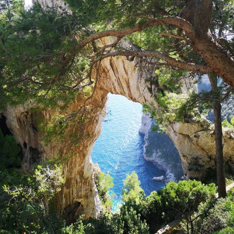 Vandretur på den smukke italienske ø Capri.