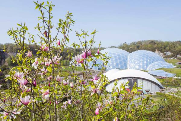 Det spektakulære drivhus-kupler i The Eden Projekt i England.